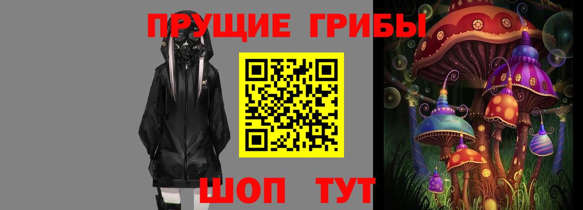 Галлюциногенные грибы прущие грибы Таганрог